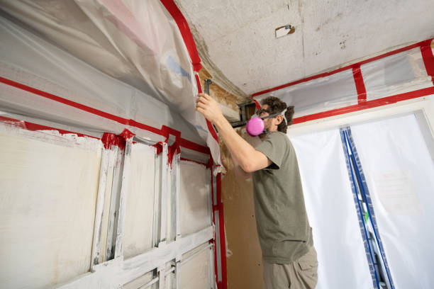 Best Black Mold Removal  in Berry College, GA